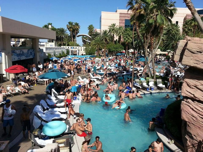 Swimming Pool 1