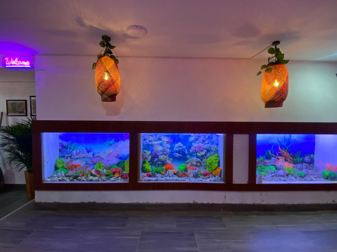 Others 5, Acuarios Hostal, Buenaventura