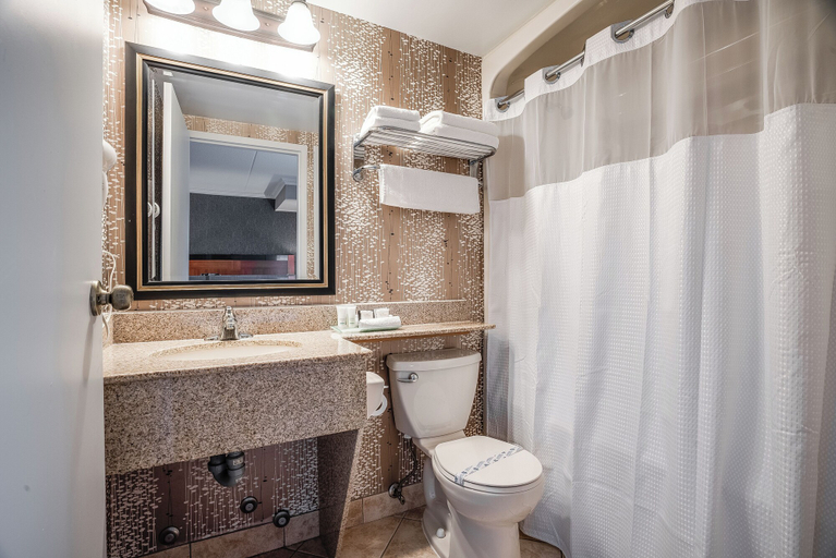 Bathroom 4, Monte Carlo Inn Barrie Suites, Simcoe