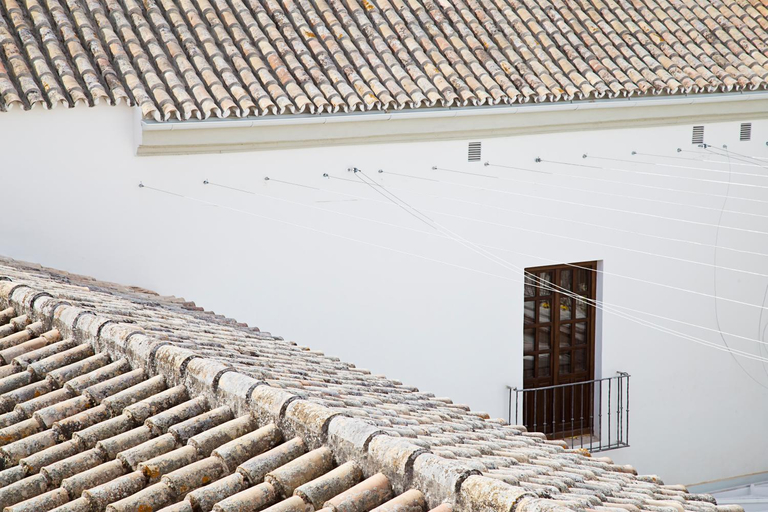 Exterior & Views 1, One Shot Palacio Conde de Torrejon 09, Sevilla
