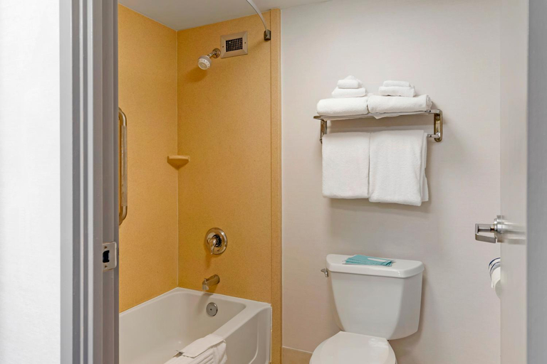 Bathroom 4, Comfort Inn & Suites Watertown - 1000 Islands, Jefferson