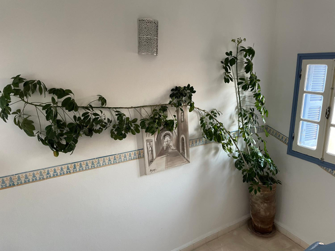 Facilities 3, RIAD AMANA, Essaouira