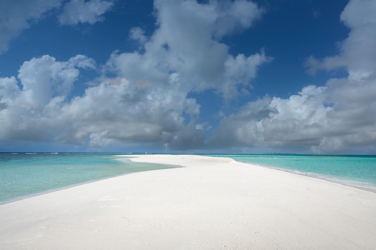 Others 3, Al-Hub Asaa, North Ari Atoll