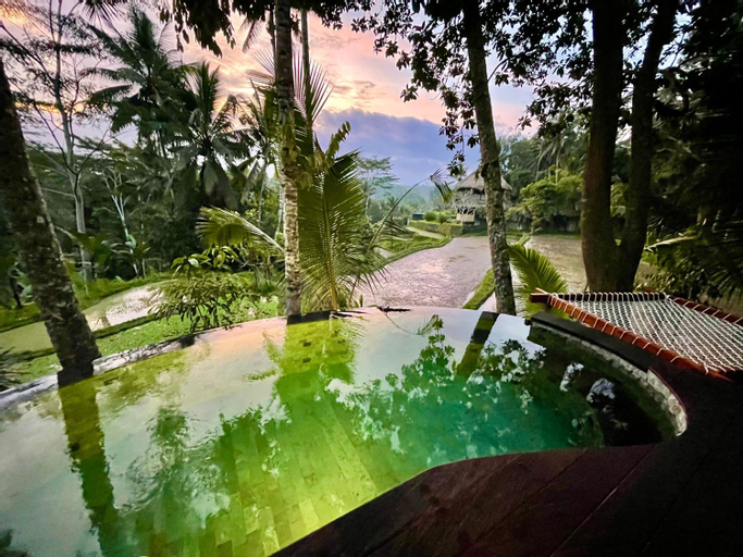 Swimming Pool 11