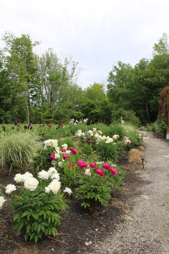 Others 4, THE NUTMEG INN BED AND BREAKFAST -ADULT ONLY, Belknap