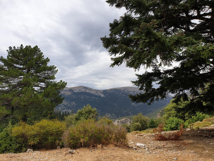 Others 5, Gite Talassemtane, Chefchaouen