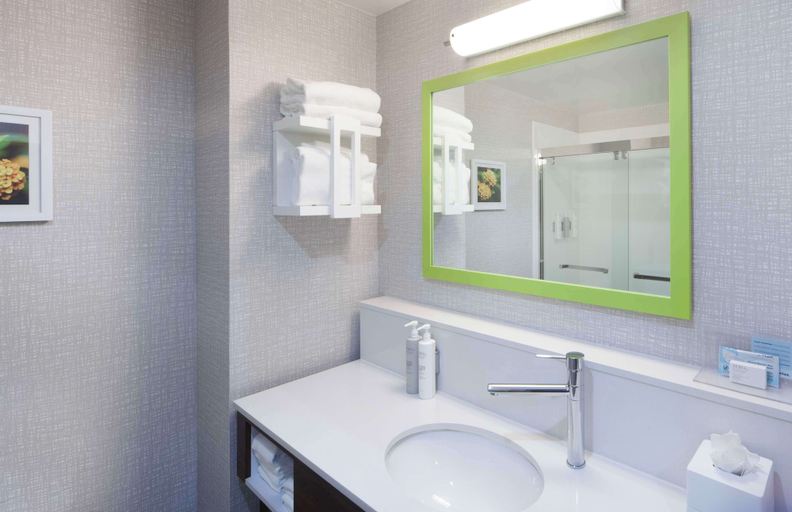 Bathroom 4, Hampton Inn Athens, McMinn