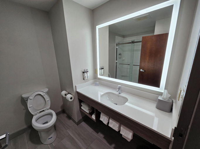 Bathroom 5, Holiday Inn Express & Suites CINCINNATI-BLUE ASH by IHG, Cincinnati