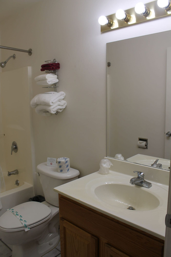 Bathroom 5, American Host Inn, Oceana