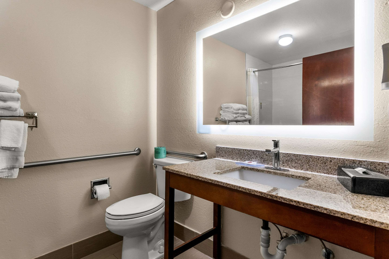 Bathroom 3, Comfort Inn & Suites Chipley, Washington