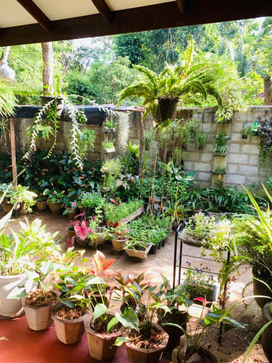 Others 4, Ossa home stay, Mihinthale