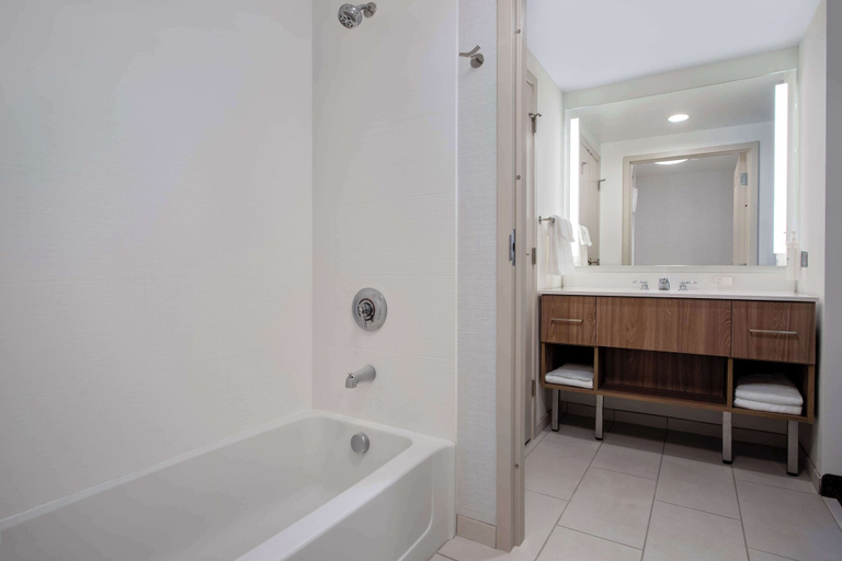 Bathroom 4, Homewood Suites by Hilton Davidson, Mecklenburg