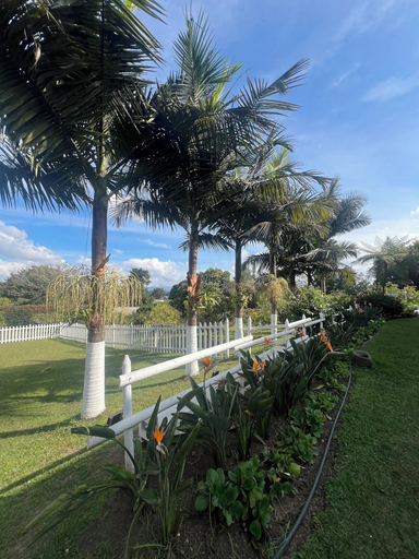 Others 5, Finca Hotel 12 Palmas, Rionegro