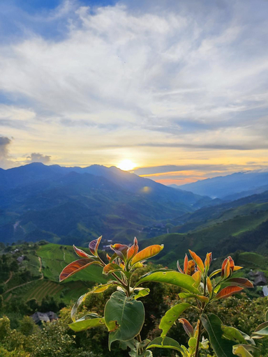 Others 5, See bungalow mu cang chai, Mù Căng Trai