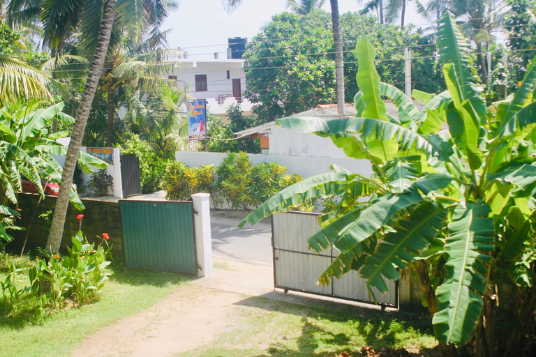Others 2, Sunshine Guest, Matara Four Gravets