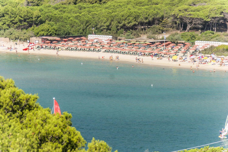 Appartamenti Lungomare Seafront - Goelba, Livorno