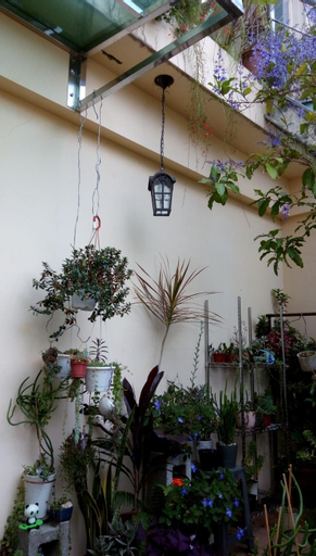 Pulisen Homestay, Nantou