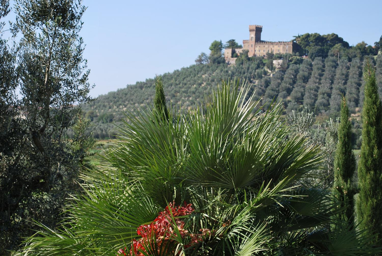 Others 4, Casa Vacanze Poggio Aprico, Livorno
