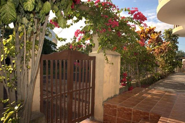 Others 4, Hostal Sandrita, Isabela