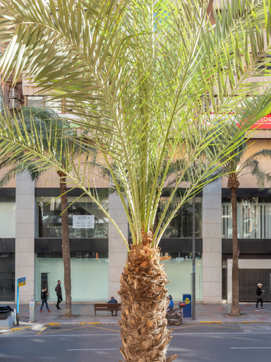 Exterior & Views 2, Nuvi Mercado, Alicante
