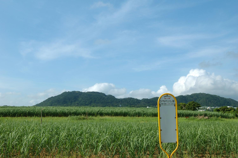 Scenery 8