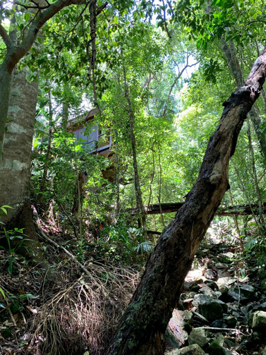 Others 4, Cairns Rainforest Retreat, Cairns