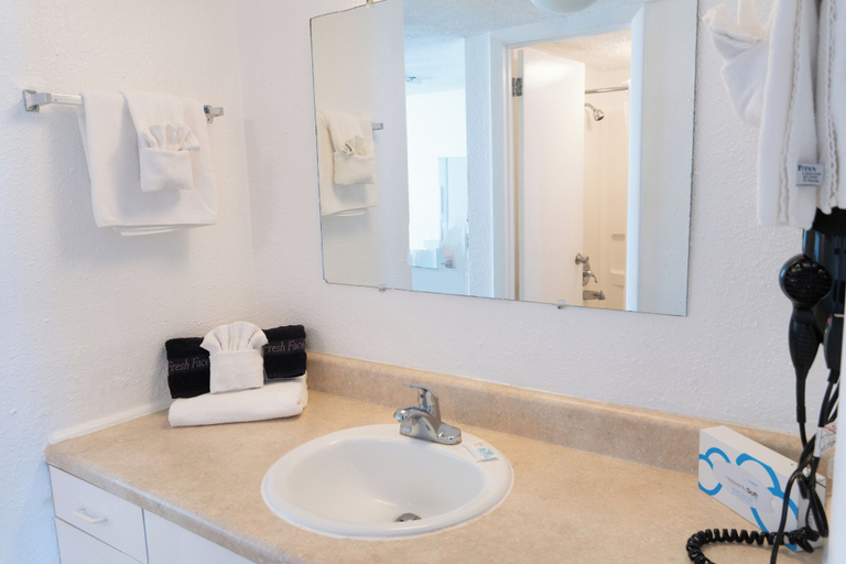 Bathroom 3, Beach Club at Montego Inn, Horry