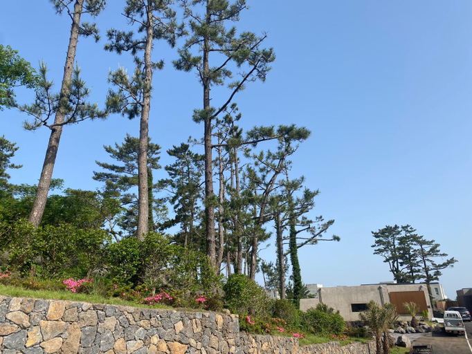Others 3, Santiago Jeju Private Pool Villa, Jeju