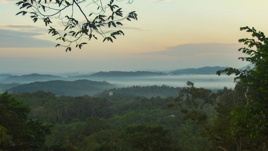 Scenery 8