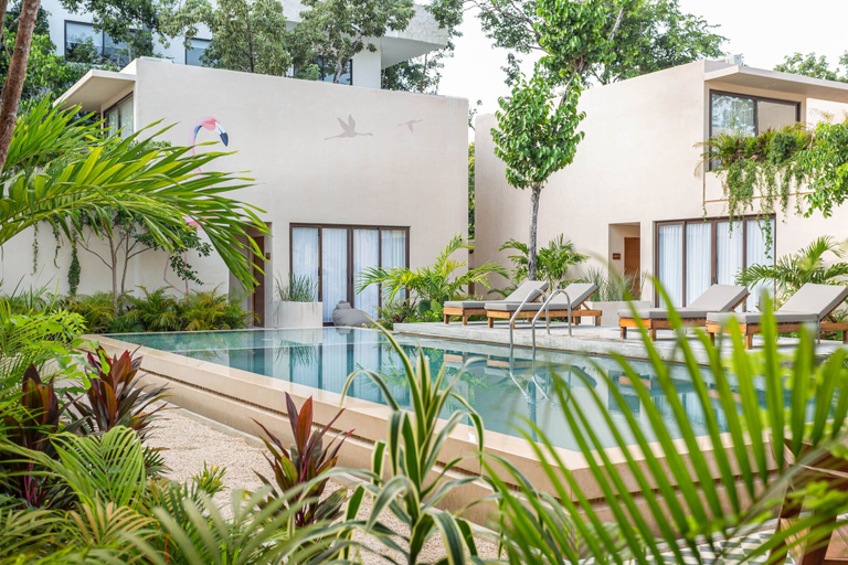 Sport & Beauty 2, Collection O Faisano Boutique Hotel, Spa, Transportation, Rentals & Tours, Tulum, Cozumel