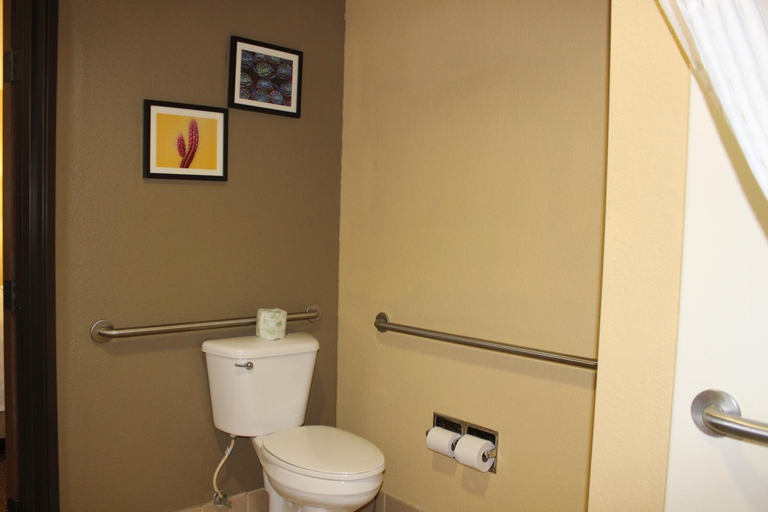 Bathroom 4, Comfort Inn, Pima