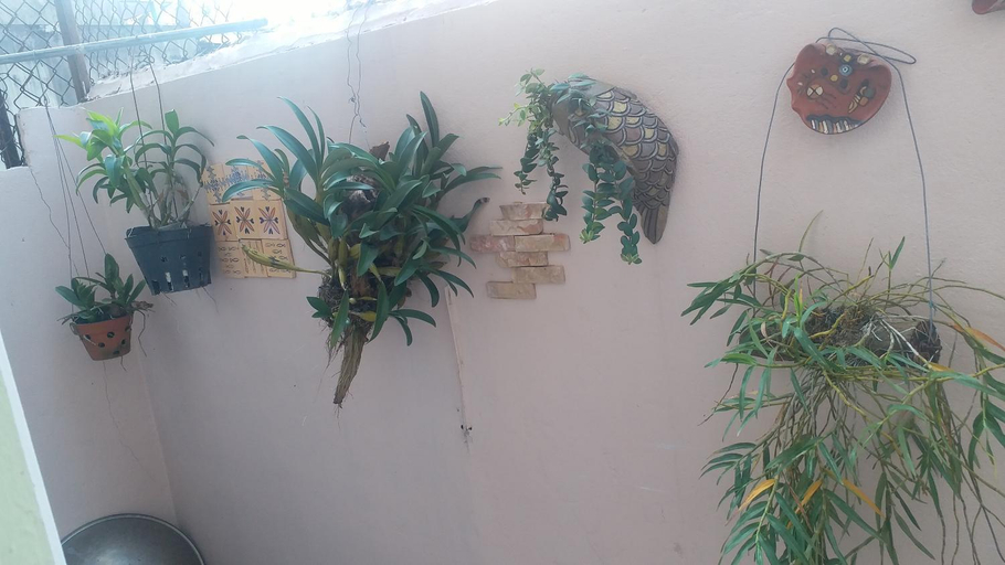 Others 4, Kota's House, Huế