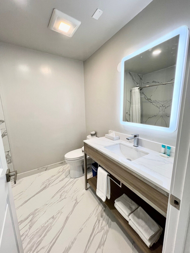 Bathroom 5, Nob Hill Motor Inn, San Francisco