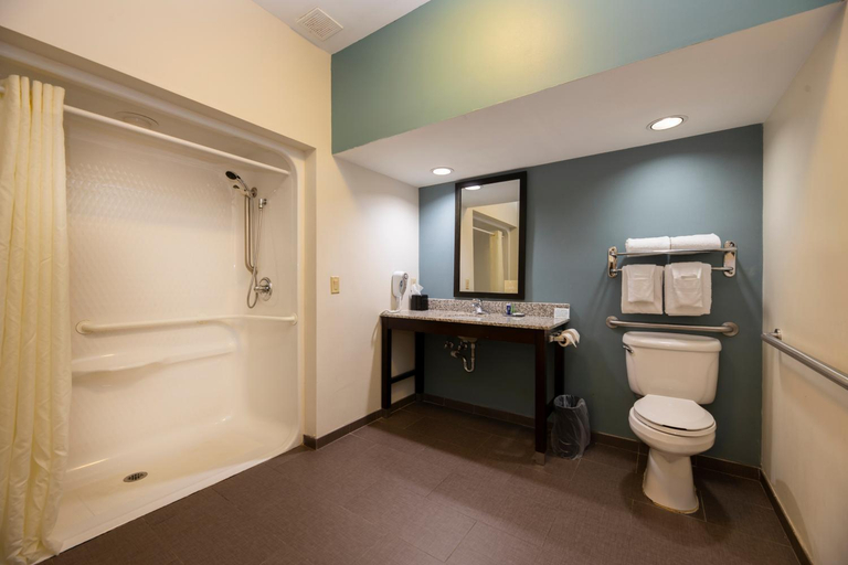 Bathroom 4, Sleep Inn & Suites Monticello, Charlottesville