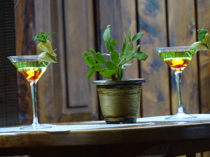 Food & Drinks 5, Le Pristine Wellness and Healing Hotel, Nyeri Town
