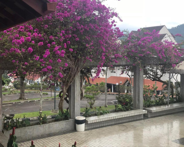 Exterior & Views 4, ThatNicePlace, Selesa Hillhomes, Bukit Tinggi, Janda Baik, Genting, Bentong