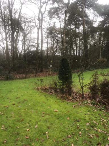 3, Bungalows Hoefbos, Ede