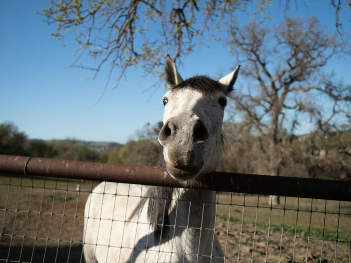 Others 5, Z Ranch, San Luis Obispo