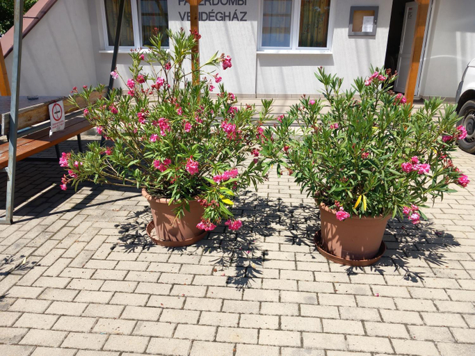 Others 2, Paterdombi Vendeghaz, Pacsa/Zalaegerszeg
