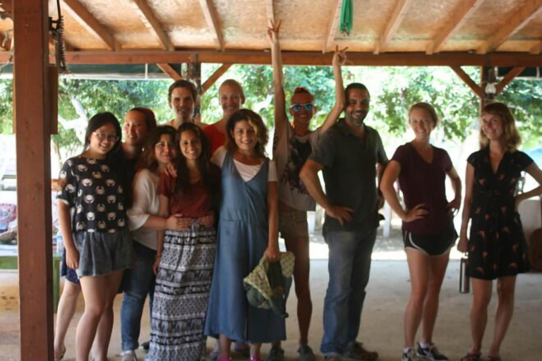 Others 5, Bodrum Ecohostel, Bodrum