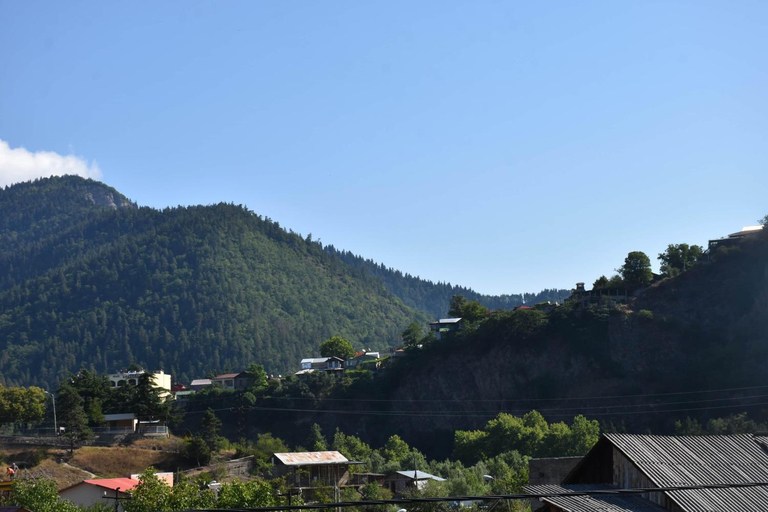 Others 2, holiday home, Borjomi