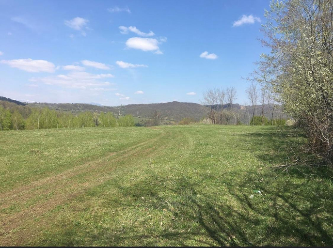 Others 3, OffCamping Bobicesti - land for camping, with water source and without electricity -Doar teren pentr, Predeal