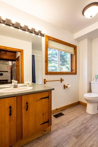 Bathroom, 4 bedroom Blue Mountain Cottage with Private Beach Access, BBQ, Petfriendly, Grey