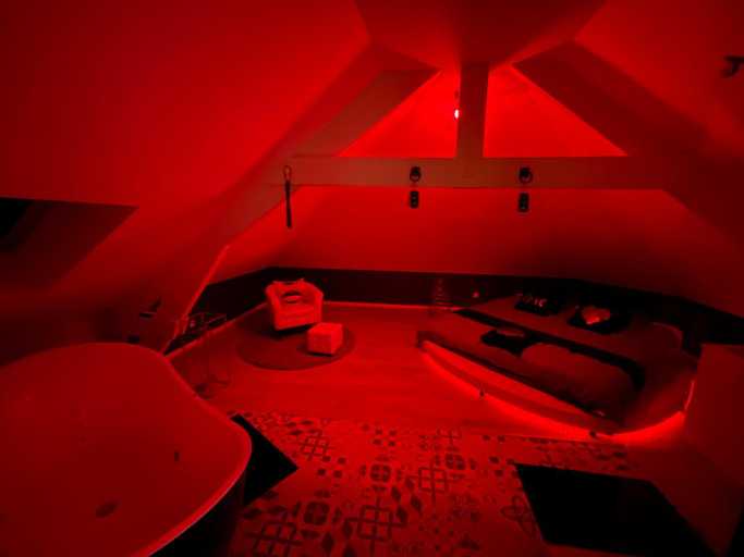 Others 4, Redroom Loveroom Chambre Spa privative Insolite Theme 50 nuances de grey, Nord