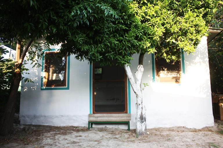 Exterior & Views, Bodrum Ecohostel, Bodrum