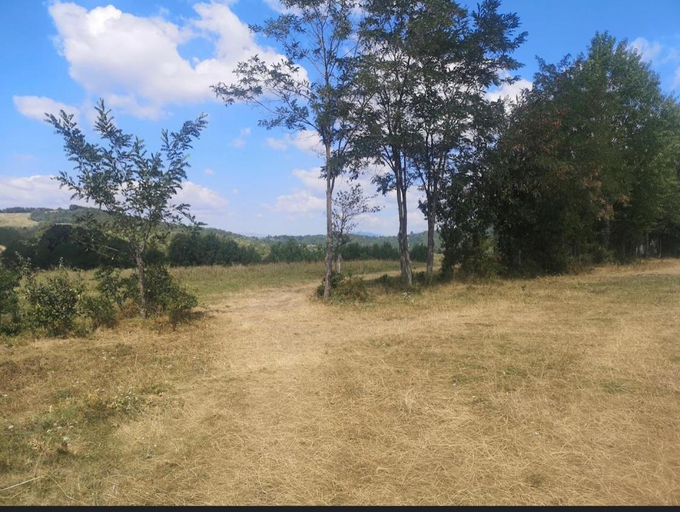 Others 4, OffCamping Bobicesti - land for camping, with water source and without electricity -Doar teren pentr, Predeal