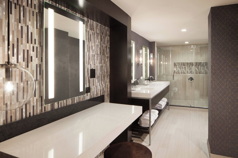 Bathroom 5, Dallas/Fort Worth Airport Marriott, Irving