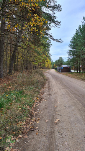 Others 3, Sosnowe Wzgorze, Szczytno