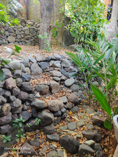 Others 4, CLOVE GARDEN, Buleleng