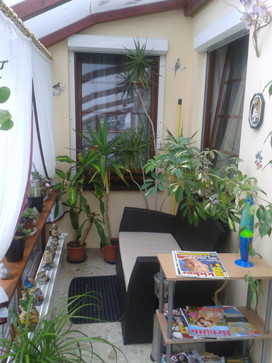 Public Area, Hotelpension Schwalbennest, Vorpommern-Greifswald